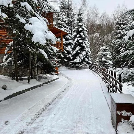 Provintsia וילה *