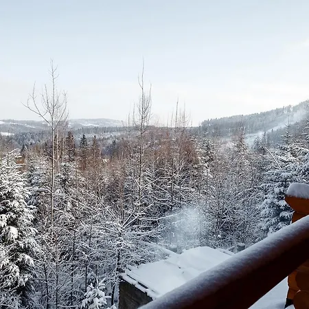 Provintsia Вилла Мигово