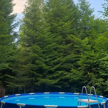 וילה Provintsia *